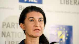 Read more about the article Violeta Alexandru explică modul în care se acordă banii pentru șomajul tehnic