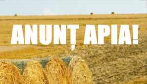 Read more about the article APIA: COMUNICAT DE PRESĂ