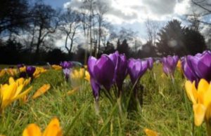 Read more about the article Anunț de la ANM: Vezi cum va fi vremea de Florii și de Paște