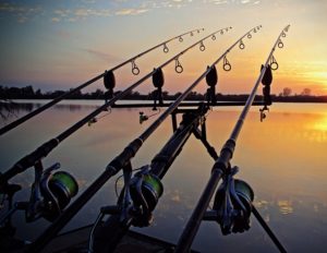 Read more about the article Ordonanța militară nr. 8: Măsuri de relaxare a circulației pentru pescuit comercial, apicultură și reparația de autovehicule