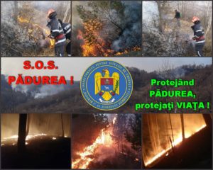 Read more about the article I.S.U. DÂMBOVIȚA AVERTIZEAZĂ: S.O.S. PĂDUREA!