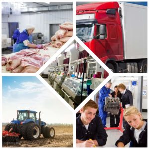 Read more about the article Valentin Calcan, președintele Camerei de Comerț Dâmbovița: Nu uitați de cei care susțin Economia României!