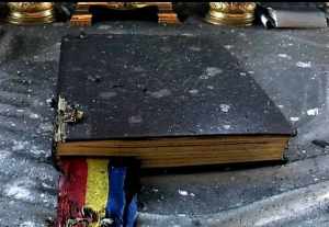 Read more about the article FABULOS! UN SEMN DE SPERANȚĂ SE ARATĂ ÎN JUDEȚUL ARAD!