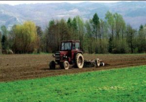 Read more about the article Ministrul Agriculturii: Cei sănătoși să iasă la câmp!