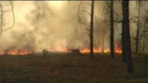 Read more about the article Nivel crescut de radiații la Cernobîl, din cauza unui incendiu de padure