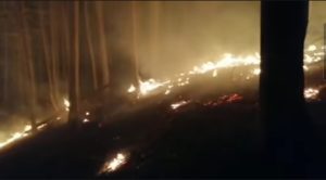 Read more about the article ALERTĂ! ARDE PĂDUREA LA IEDERA!