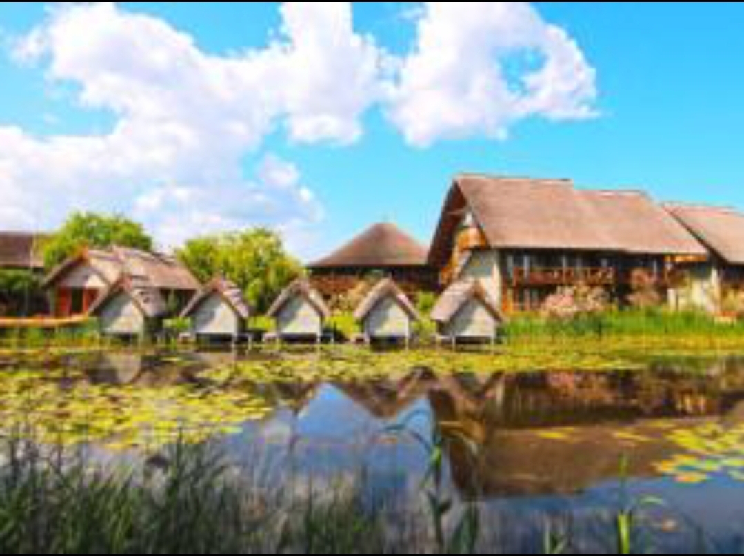 You are currently viewing Apel disperat din Deltă: în două luni, 98% dintre hoteluri și pensiuni vor intra în insolvență, dacă Guvernul nu le ajută acum