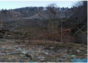 Read more about the article Alunecare de teren la Azuga. 20 de familii sunt în pericol