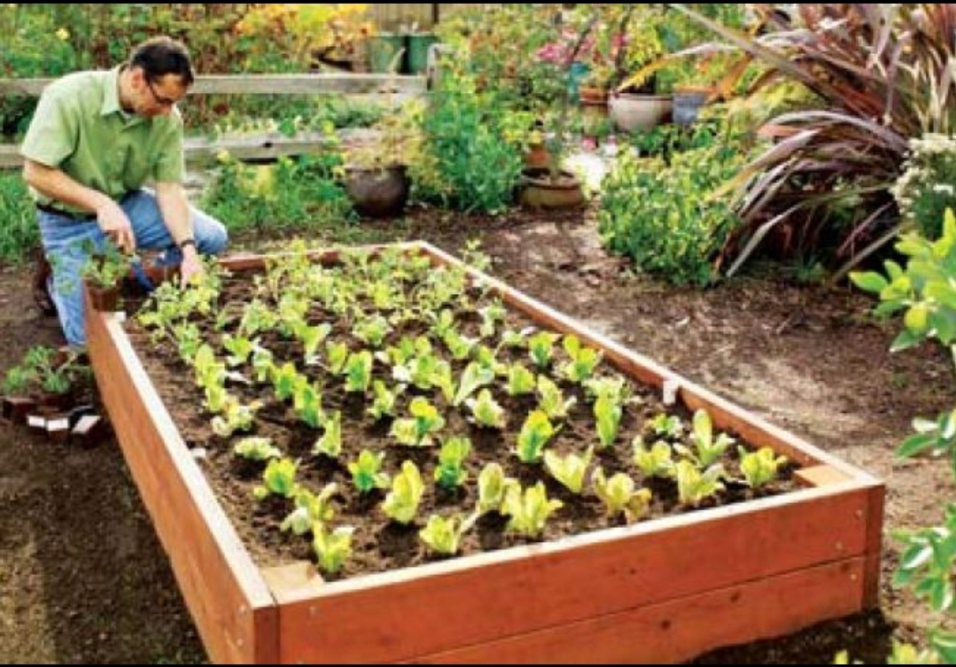 You are currently viewing Atenție! Românii cu grădină sau livadă la țară nu se pot deplasa, numai producătorii!