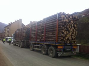 Read more about the article DÂMBOVIȚA: Controale ale polițiștilor de la ordine publică pe linie de silvicultură