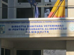 Read more about the article Dâmboviţa, Valea Voievozilor: Animal depistat cu Rabie a mușcat două persoane