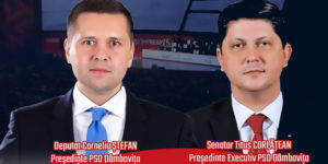 Read more about the article PSD Dâmbovița, atac la Iohannis: ”acoperă tunurile PNL”