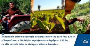 Read more about the article APEL de la Malu cu Flori către ministrul Agriculturii…