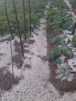 Read more about the article GRINDINA A „LOVIT” DIN NOU ÎN DÂMBOVIȚA, LA STURZENI ȘI DRAGODĂNEȘTI