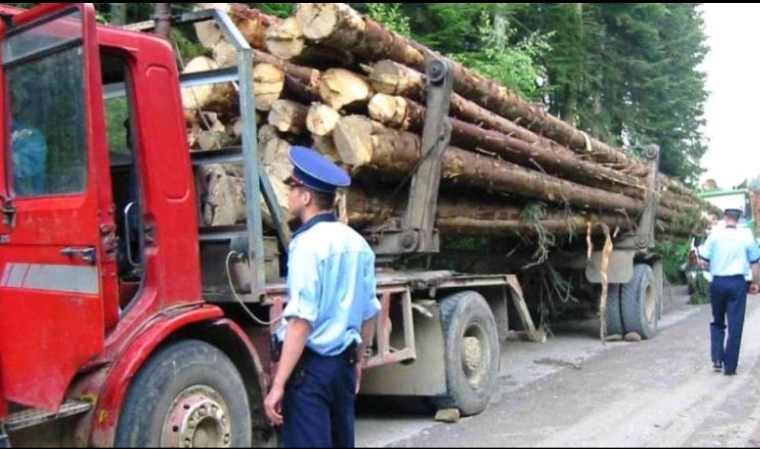 You are currently viewing Costel Alexe: Amenzi de 415.000 de lei pentru transport ilegal de lemn, în martie-aprilie