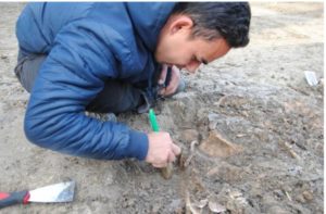 Read more about the article Mormânt colectiv, din timpul epidemiei de ciumă, descoperit la Timișoara