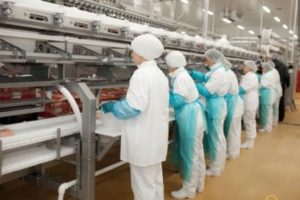 Read more about the article CREVEDIA: 72 PERSOANE IZOLATE, DUPĂ CE AU FOST CONTACȚI DIRECȚI AI CELOR 2 ANGAJATE ALE ABATORULUI