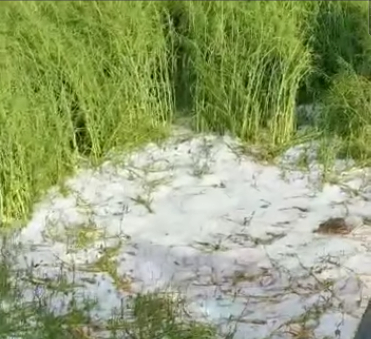 You are currently viewing Vă bate la geam grindina, domnule Oros!