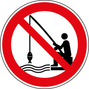 Read more about the article SEZONUL DE PESCUIT ȘI PROHIBIȚIE 2020