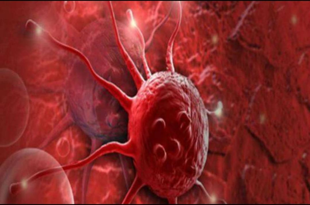 You are currently viewing În România, 37 de pacienţi români cu cancere de sânge aşteaptă un donator compatibil