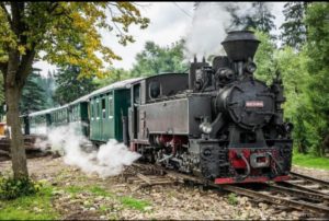 Read more about the article Mocănița de la Moldovița pornește din nou la drum în perioada Rusaliilor