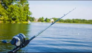 Read more about the article S-au relaxat măsurile pentru pescari. Vezi noile precizări ale ministrului Agriculturii