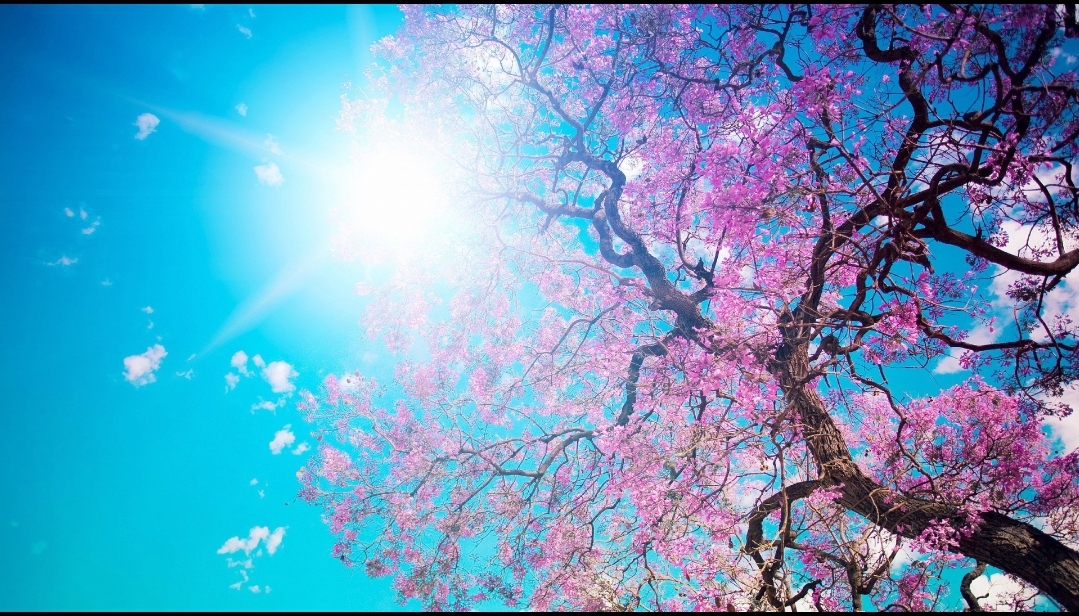 You are currently viewing Prognoza meteo, azi, 5 iunie 2020. Temperaturi de până la 32 de grade Celsius