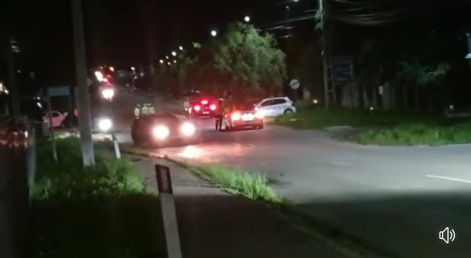 You are currently viewing VIDEO-Aleea Mănăstirii Dealu: „Liniuțele” de sâmbătă seara oprite de polițiști!
