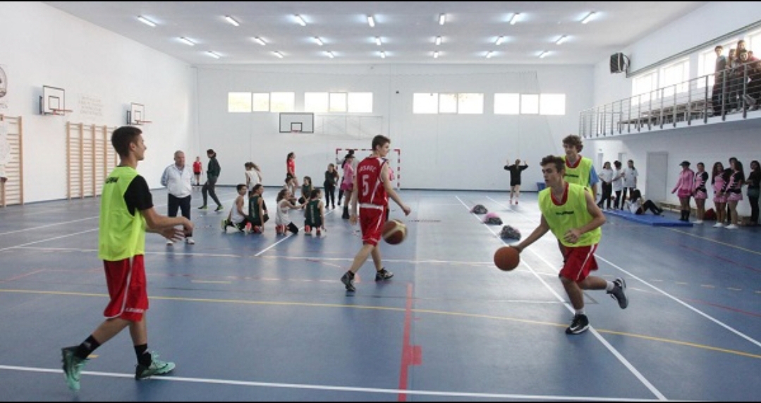 You are currently viewing Iată cum se vor desfășura orele de educație fizică, după redeschiderea școlilor