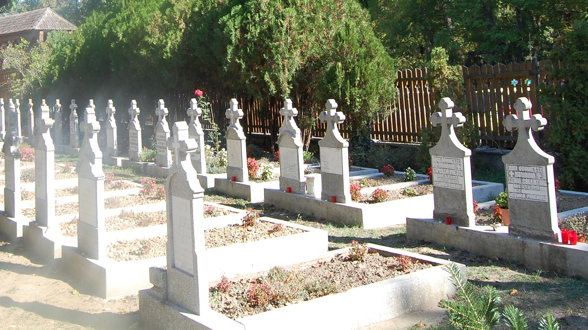 You are currently viewing Bărbat din Moreni a murit în cimitir