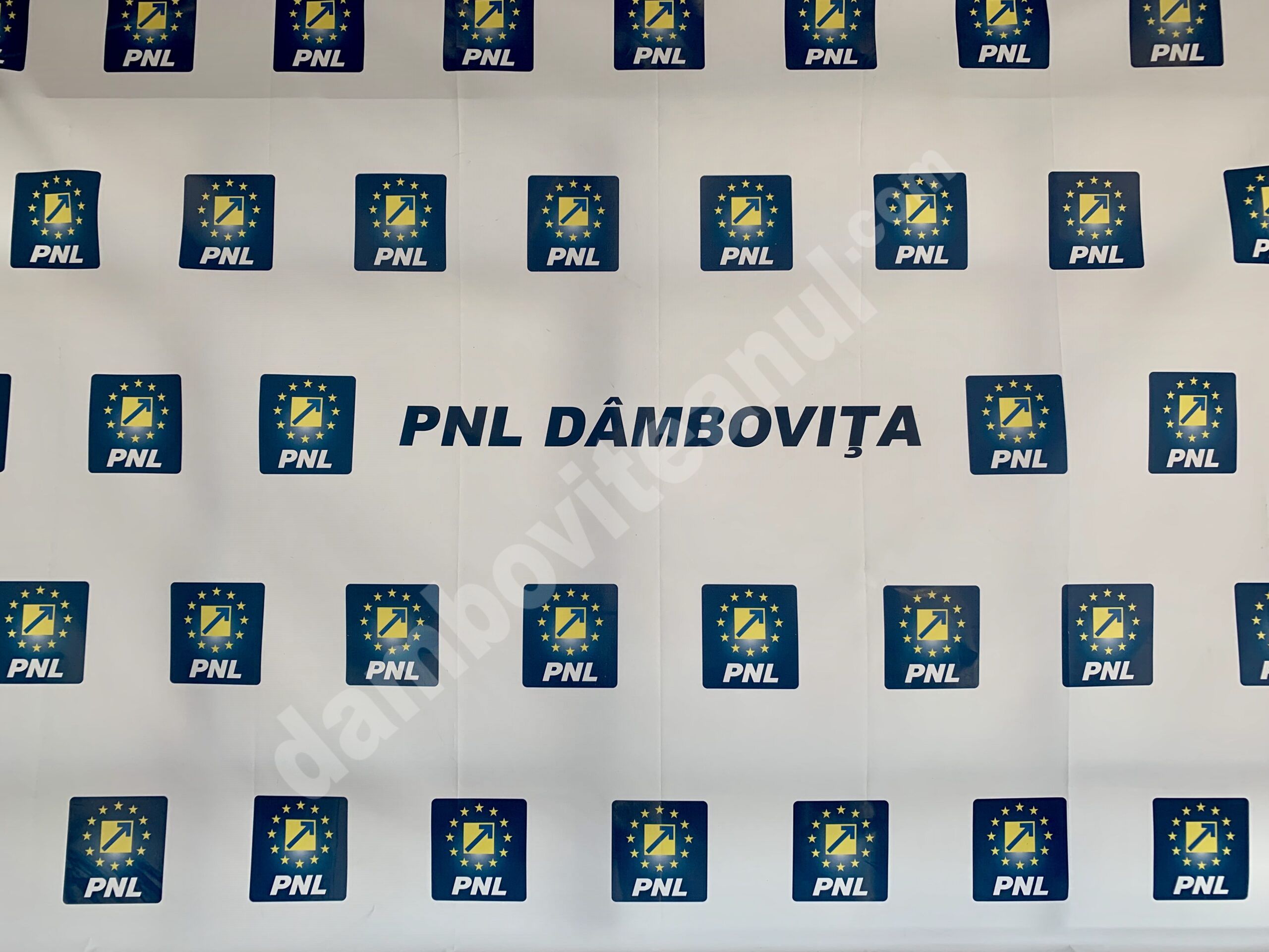 You are currently viewing PNL DÂMBOVIŢA: Ești membru P.S.D., ești înger! Ai altă opțiune politică, ești demon!