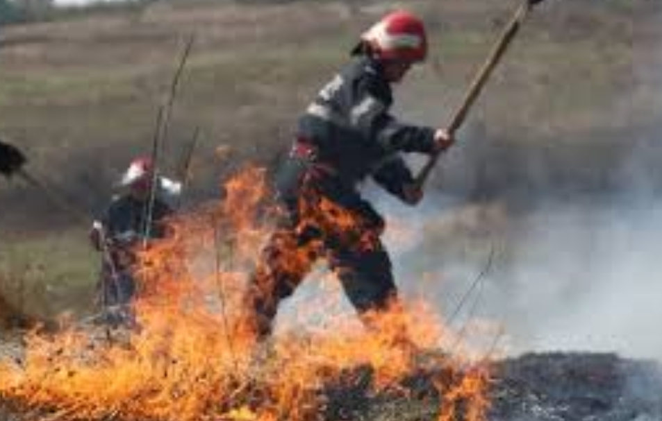 You are currently viewing În ultima săptămână, pompierii din Dâmbovița au intervenit la peste 40 de incendii de vegetație