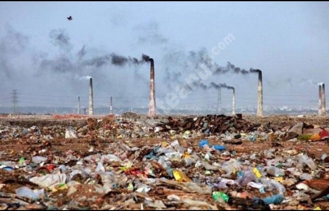 You are currently viewing Legea mirosurilor intră în vigoare de azi. Firmele care „deranjează olfactiv” primesc amenzi până la 100000 de lei