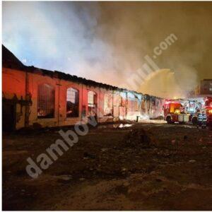 Read more about the article Piața Mare din Oradea a luat foc!