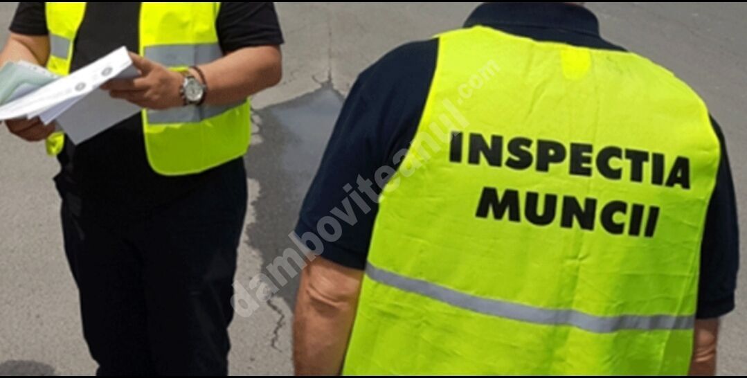 You are currently viewing ITM DÂMBOVIȚA: Campanie pentru identificarea cazurilor de muncă nedeclarată