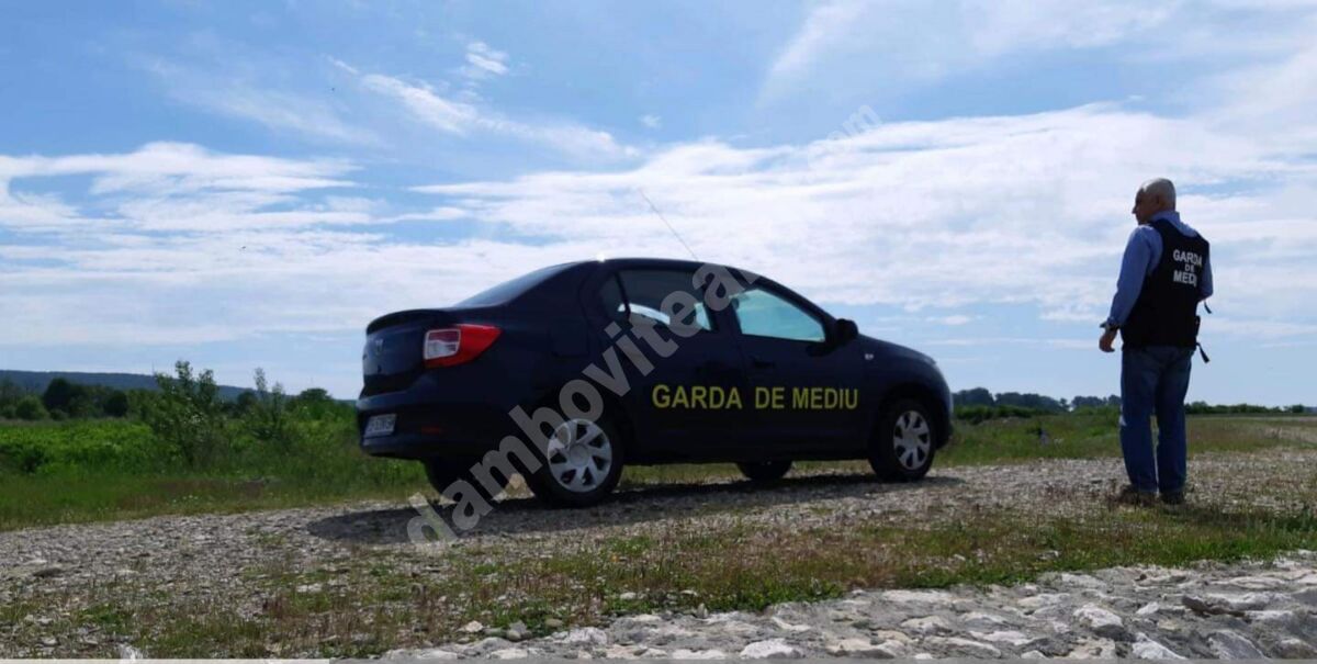 You are currently viewing 515 controale efectuate de Garda de Mediu în județul Dâmbovița