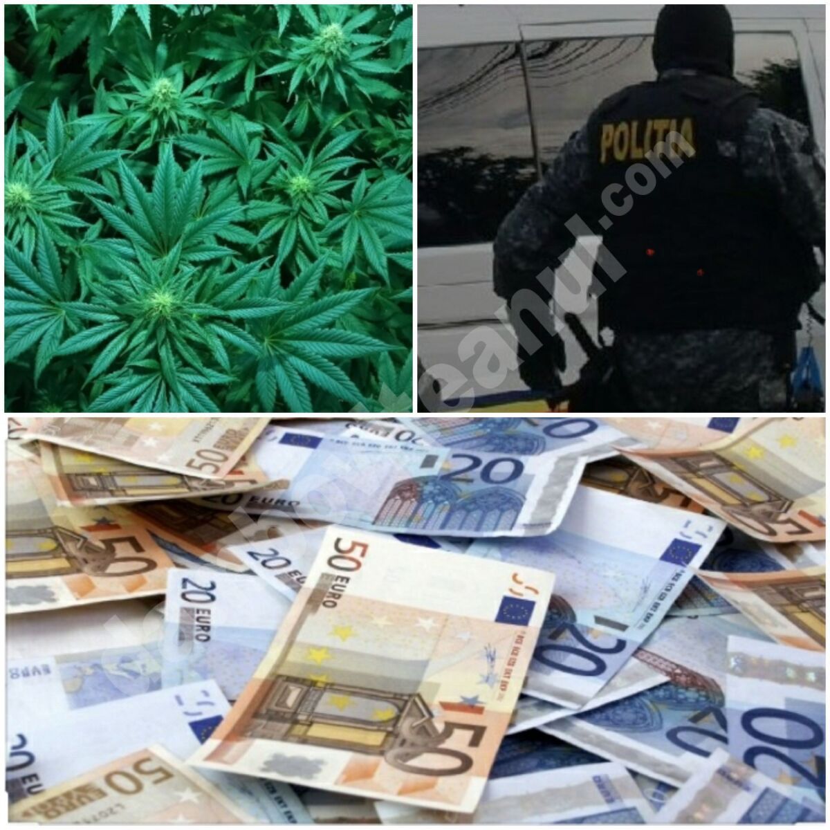 You are currently viewing GRUP INFRACȚIONAL ORGANIZAT, DESTRUCTURAT
