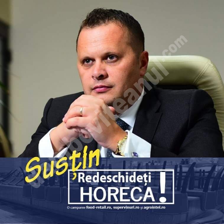 You are currently viewing Ce crede avocatul Gabriel Cioacă despre Dâmboviţa Mall?