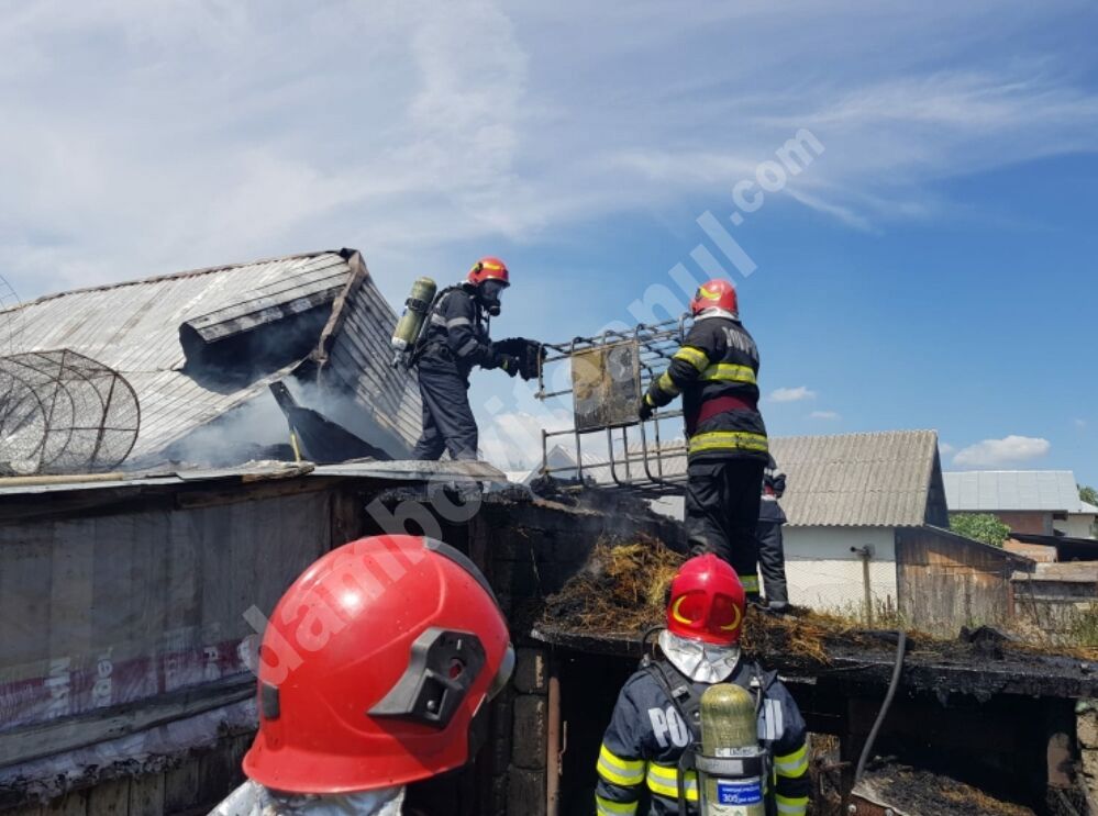 You are currently viewing INCENDIU VIOLENT ÎN COMUNA BUCȘANI!