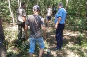 Read more about the article Sancționați pentru ilegalități în domeniul silviculturii