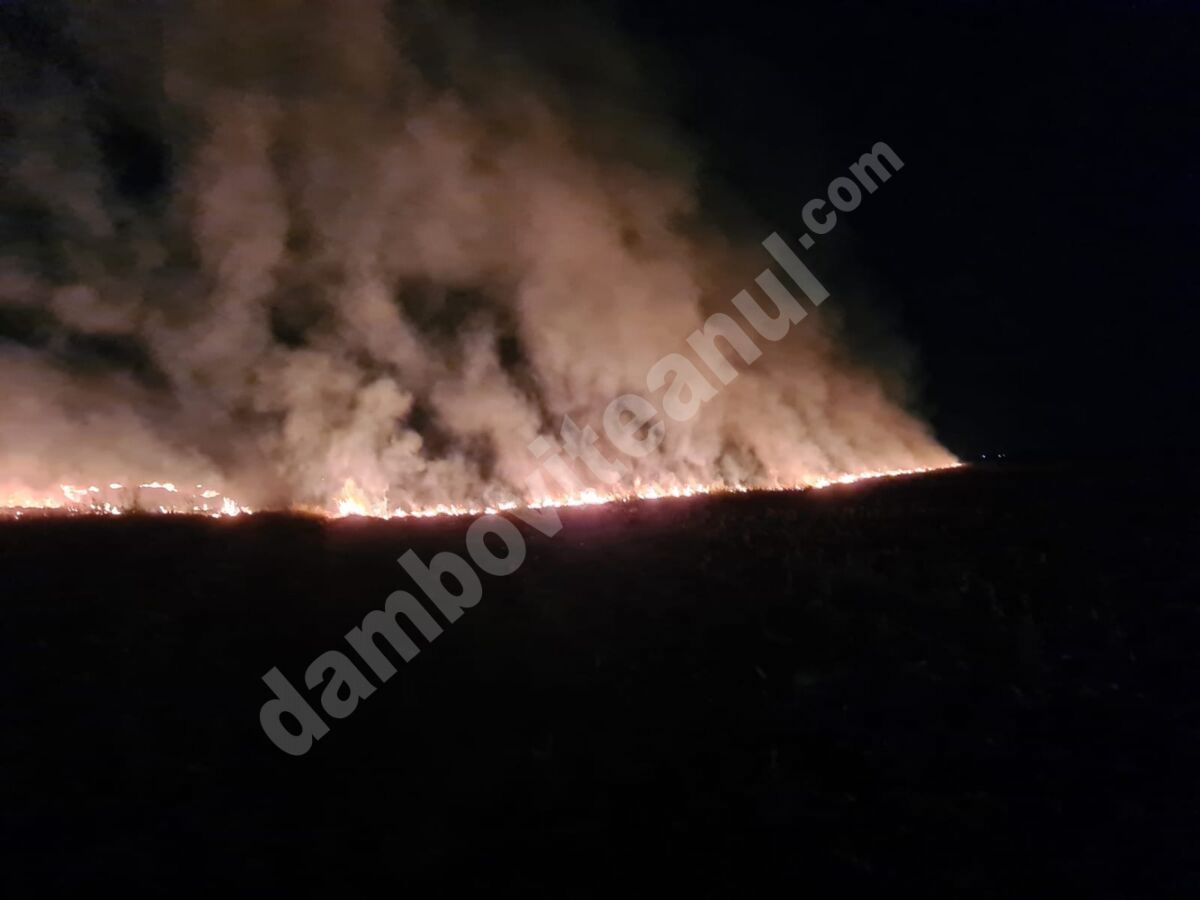 You are currently viewing Incendiu de vegetație în comuna Mătăsaru