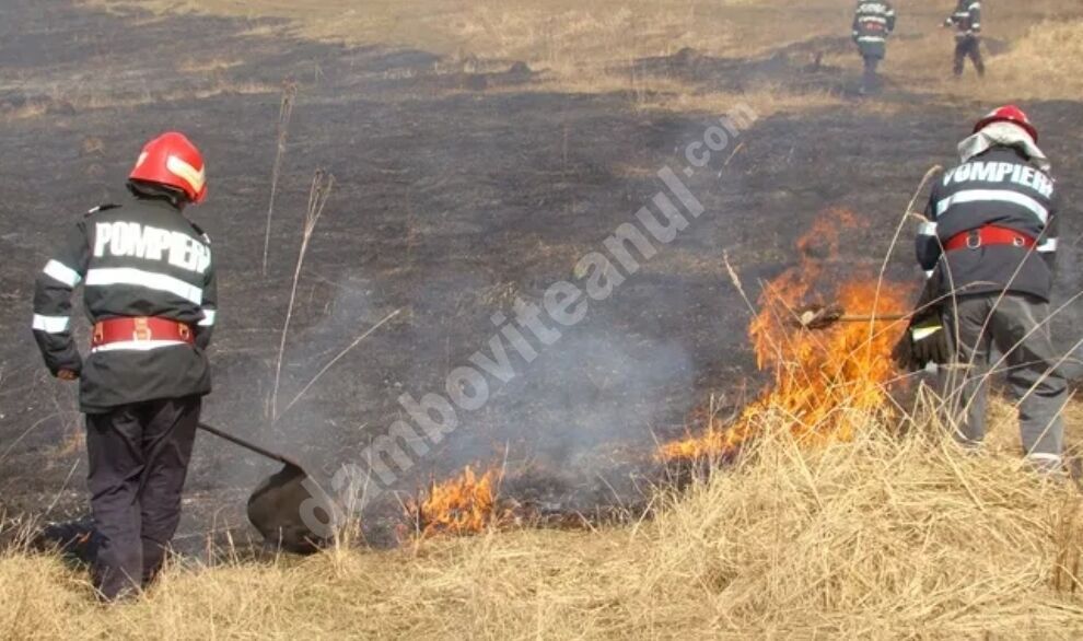 You are currently viewing ISU DÂMBOVIȚA AVERTIZEAZĂ: STOP – INCENDIILOR DE VEGETAȚIE!