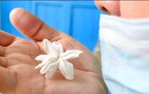 Read more about the article Vezi de ce pierderea mirosului în cazurile de COVID-19 este un semn bun