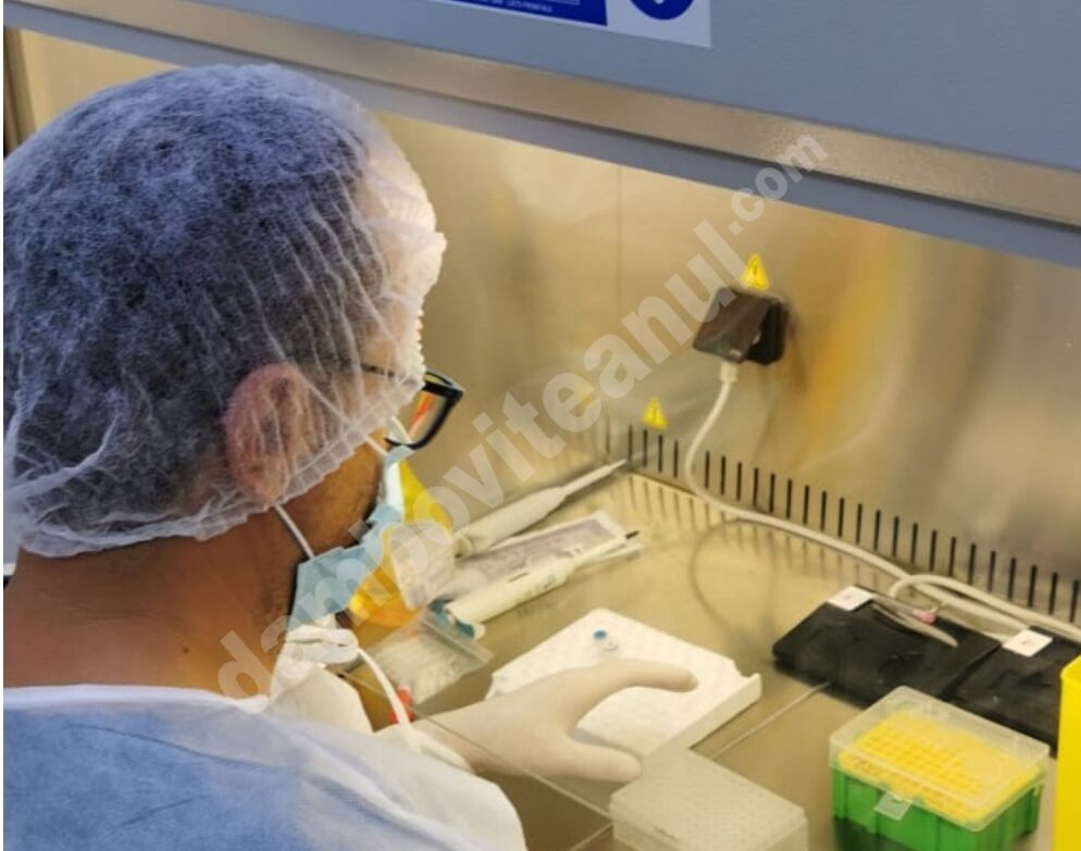 You are currently viewing COVID-19: SPITALUL JUDEȚEAN DE URGENȚĂ TÂRGOVIȘTE BENEFICIAZĂ DE AL DOILEA APARAT DE TESTARE REAL TIME PCR