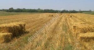 Read more about the article În perioada februarie – aprilie 2021 se va desfășura Recensământul General Agricol!