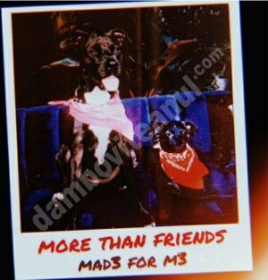 Read more about the article Trupa MAD3 FOR M3 aduce un sound original și lansează primul single, More than friends