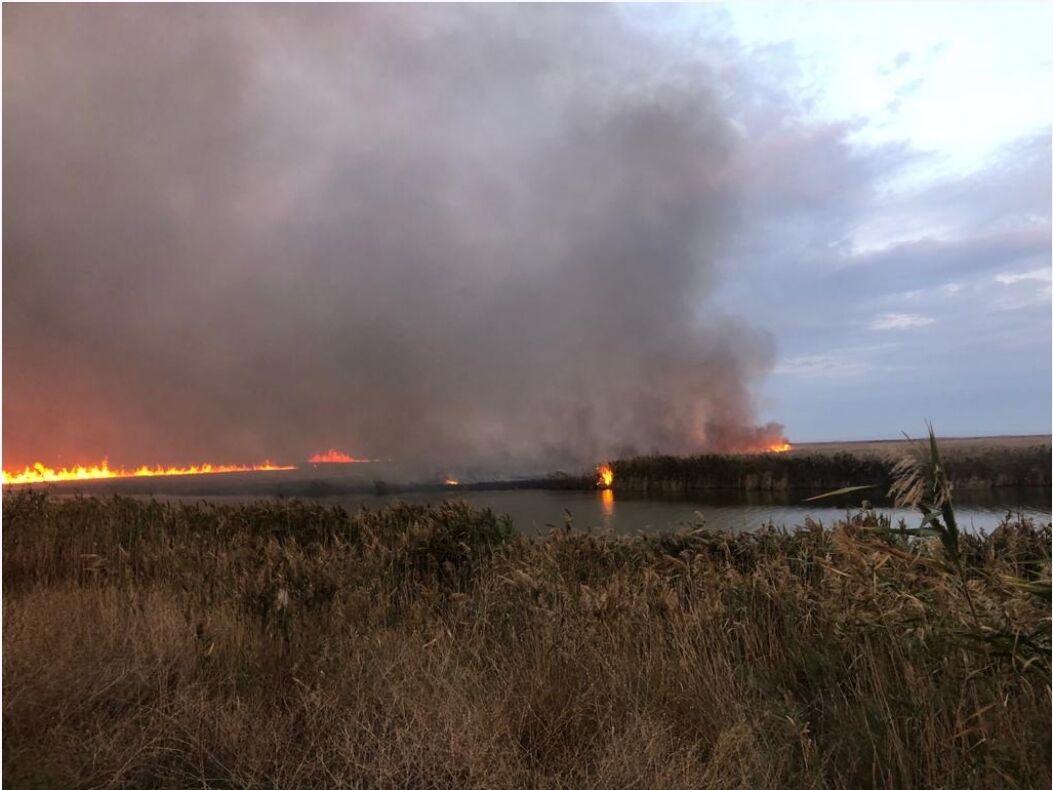 You are currently viewing Video: Incendiu violent în Delta Dunării