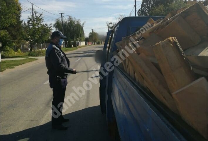 You are currently viewing DÂMBOVIȚA: Controale ale polițiștilor pentru verificarea legalității activițăților silvice