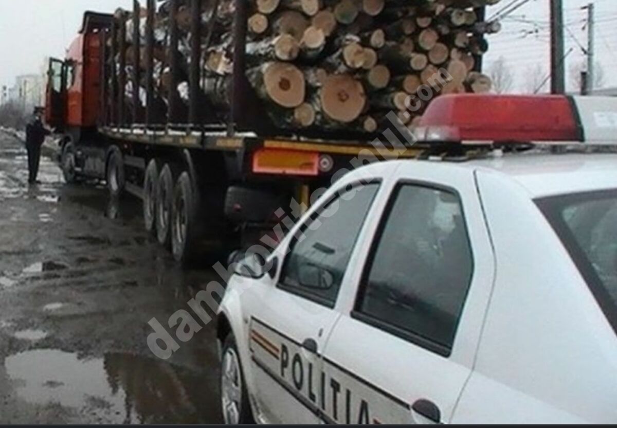 You are currently viewing Rezultatele obținute de polițiștii dâmbovițeni pentru prevenirea şi combaterea delictelor silvice