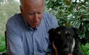 Read more about the article Joe Biden s-a jucat cu câinele său și a suferit o fractură la picior